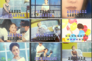 音乐专辑碟[尤雅 – 原声原影MTV录影专辑][LD转][KTV][2DVD-ISO3.09G-4.07G][百度网盘下载]