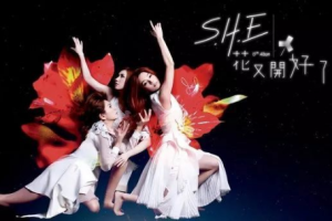 音乐专辑碟[S.H.E – 花又开好了影音馆Disc1][百度网盘下载]
