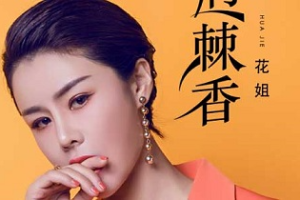 花姐历年歌曲[百度网盘下载]