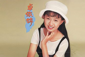 音乐专辑碟[卓依婷 – 柔情小调][KTV][DVD-ISO][3G][百度网盘下载]
