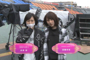 【海外演唱会】[AKB48 横浜体育场 高桥南毕业演唱会][BDMV 6碟][185GB][百度网盘下载]