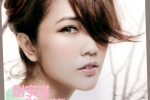 音乐专辑碟[谢安琪 – 最好的时刻2006-2012][DVDISO][4.12G][百度网盘下载]
