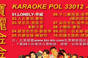 音乐专辑碟[宝丽金金曲][KTV][DVD-ISO][2.77G][百度网盘下载]