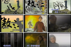 音乐专辑碟[播音人金曲龙虎榜1][2DVD-ISO 6.51G+6.6G][百度网盘下载]