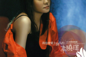 音乐专辑碟[辛晓琪 – 我也会爱上别人的MV+卡拉OK][2DVD-ISO][7.8G+7.4G][百度网盘下载]