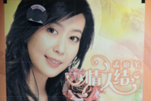音乐专辑碟[孟庭苇 – 情人结 卡拉OK]DVD-ISO][3.7G][百度网盘下载]