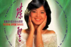音乐专辑碟[邓丽君 – 碟圣 原装卡拉OK精选 VOL.1 LD碟A+碟B][DVDISO][3.91G+3.98G][百度网盘下载]