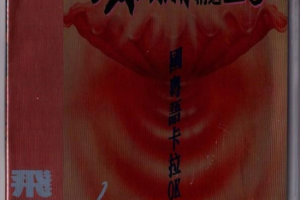音乐专辑碟[群星 – 飞图爆棚20国粤语精选卡拉OK][LD转DVD][3.96G+3.88G][百度网盘下载]
