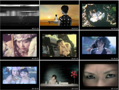 音乐专辑碟[陈辉阳 – 12金钗众生花][DVDISO][3.54G]