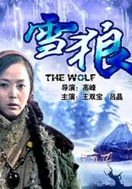 《雪狼》2006[普通话/全22集4.52G][百度下载]
